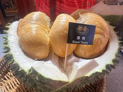 -都念榴莲·城市榴莲