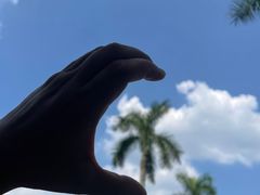 -南宁花花大世界景区