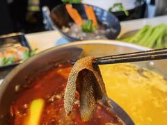纽西兰优质鲜毛肚-一哥澳门豆捞·澳门风打边炉(高德置地店)