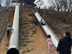 -绵阳盛世樱花悠乐谷