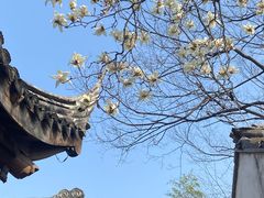 -惠山古镇·寄畅园