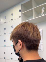 -YESIDO椰岛造型