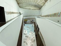 -中国湿地博物馆