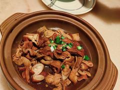 卤汁肥肠煲-東大方(湖州白鹭迎店)