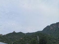 -满族八旗正宗牛肉面