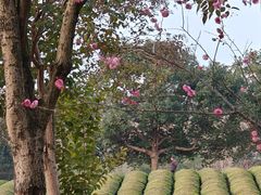 -敬亭山风景名胜区