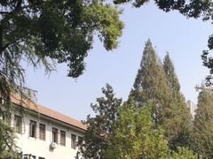 -中南财经政法大学(首义校区)