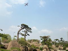 -罗红摄影艺术馆