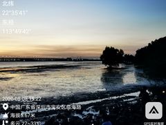 -屋虎猫馆(宝安大仟里店)