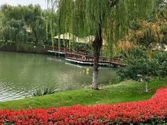 -圩墩遗址公园