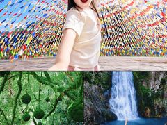 -龙湾潭国家森林公园