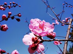 -北京稻香村(天桥乐汇百货商场店)