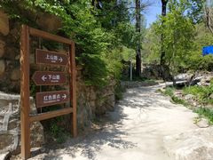 -大岭沟猕猴桃谷风景区