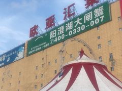 -欧亚汇集(飞跃路店)