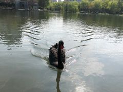 -杭州师范大学(下沙校区)