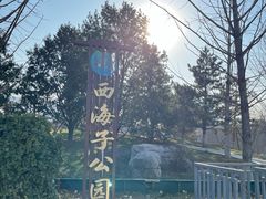 -西海子公园
