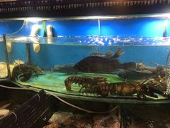 -大洋海鲜居·海鲜特色菜(墟沟海鲜美食城店)