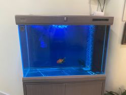 -海涛医疗美容·面部抗衰·注射美鼻