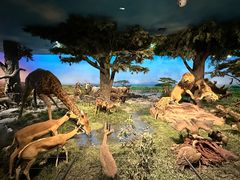 -国家自然博物馆