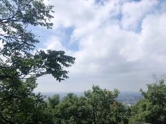-紫金山山顶公园