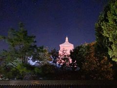 -大雁塔北广场音乐喷泉