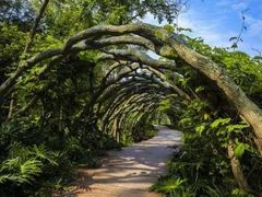-广西壮族自治区药用植物园