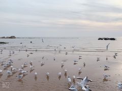 -老虎石海上公园