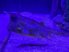 -太平洋海底世界