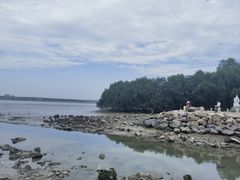 -宝安西湾红树林湿地公园