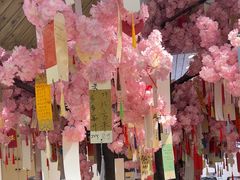-陶语手工·拼豆·陶艺·银饰diy(宽厚里店)