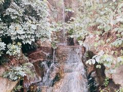 -金鸡山公园