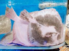 -盒马鲜生(悠方店)