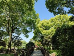 -上海鲜花港