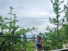 -凤栖山