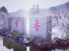 -香雪海