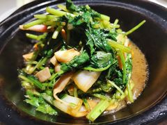 砂锅养生野菜-小放牛炒菜馆(裕华万达店)