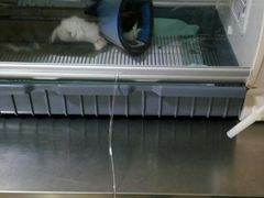 -宠颐生宠物医院·综合诊疗(先锋分院)