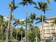 -三亚亚龙湾金棕榈度假酒店