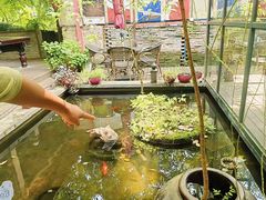 -野蔓果·山野菜(西湖景区·龙井茶田店)