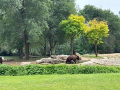 -北京野生动物园