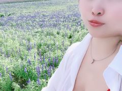-莲花山花海
