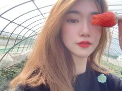 -尚田草莓姑娘白草莓采摘基地