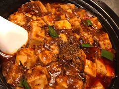 -陈麻婆豆腐总店