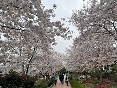 -漫花庄园