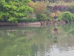 -嘉定紫藤园