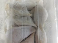 -熊大爷现包饺子(和平里店)