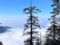 -瓦屋山景区