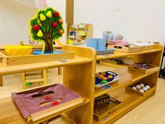 -自然树儿童之家(海珠翠城花园托育.早教校区)