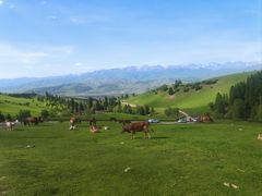 -新疆那拉提国家旅游度假区