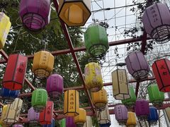 -成都市活水公园